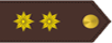 Teniente Coronel (España)